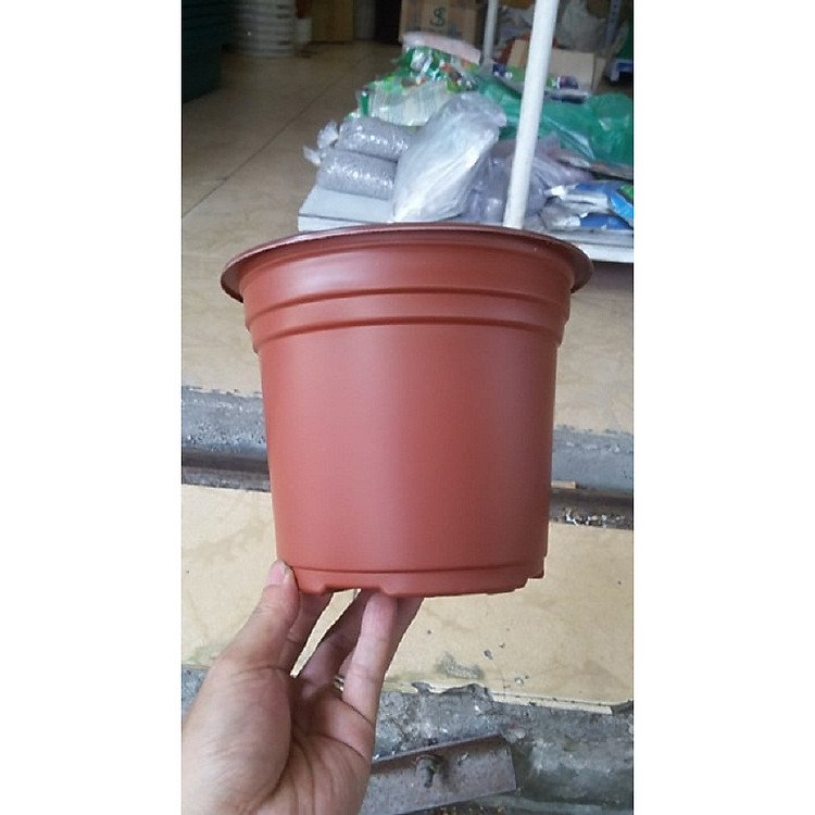 combo 50 chậu nhựa mỏng trồng cây 18x14cm TTK180 nâu