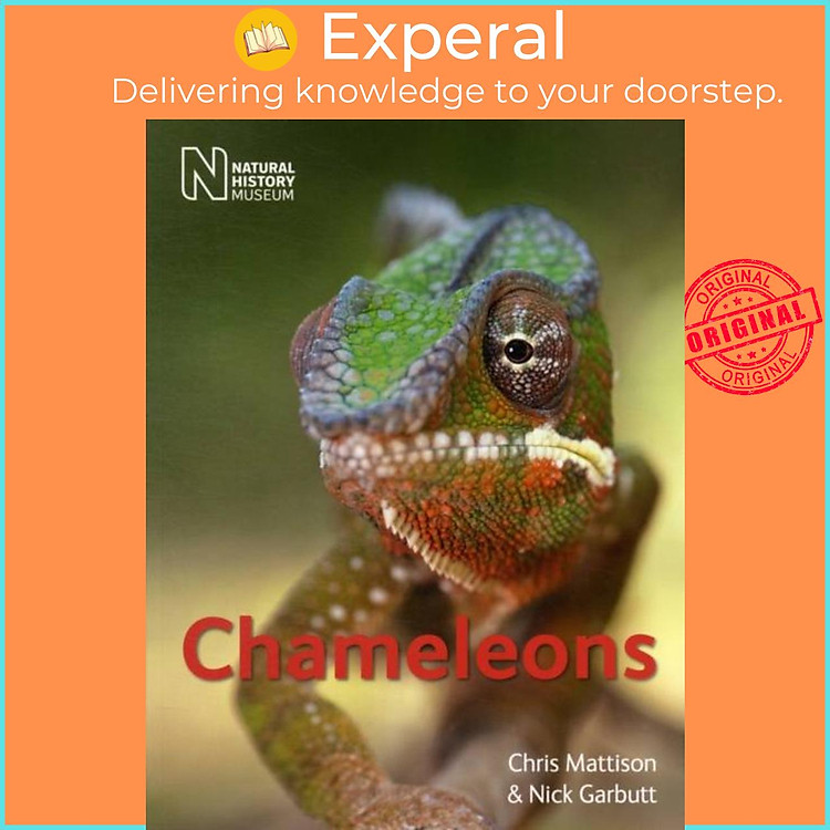 Sách - Chameleons by Nick Garbutt (UK edition, paperback)