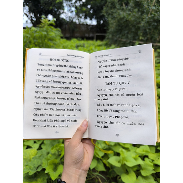 Kinh Dược Sư và Giảng Giải Kinh Dược Sư - Ảnh 4