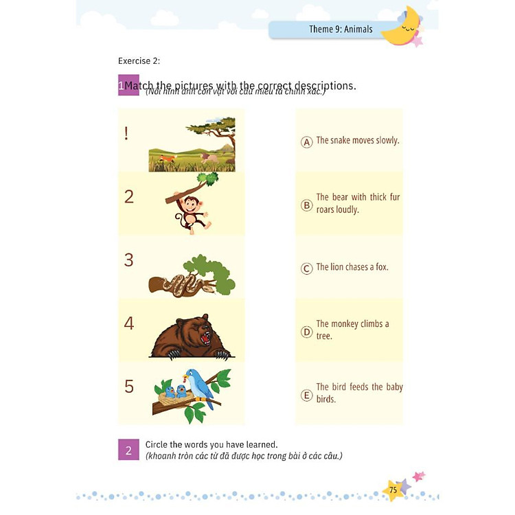 Mindmap Từ Vựng Tiếng Anh Cho Học Sinh Tiểu Học - Ảnh 5