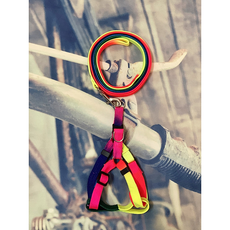 Dây dắt chó mèo 7 màu