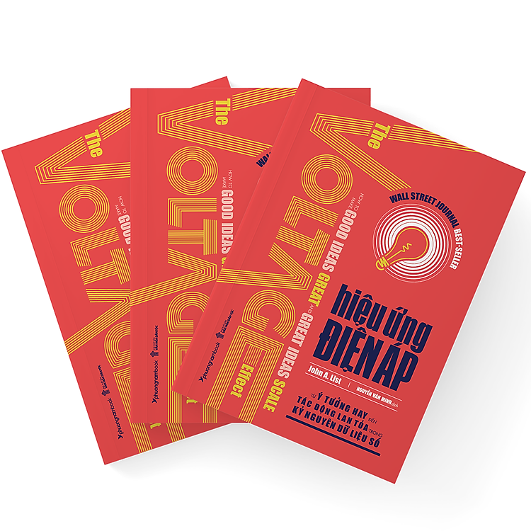 HIỆU ỨNG ĐIỆN ÁP - Từ Ý Tưởng Hay Đến Tác Động Lan Tỏa Trong Kỷ Nguyên Dữ Liệu Số - Ảnh 6