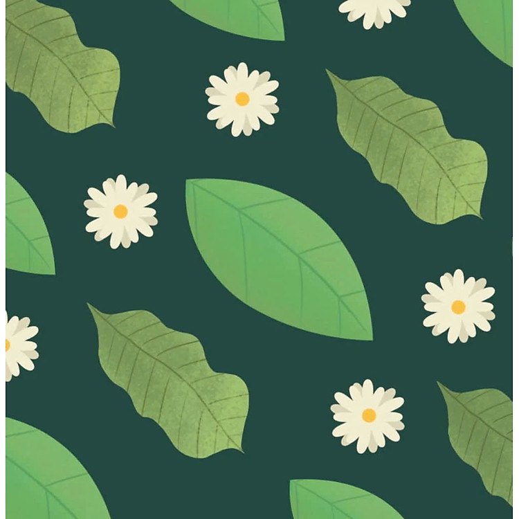 Bé Thông Minh - Đóng Mở Kì Diệu - Bên Dưới Chiếc Lá - Ảnh 2