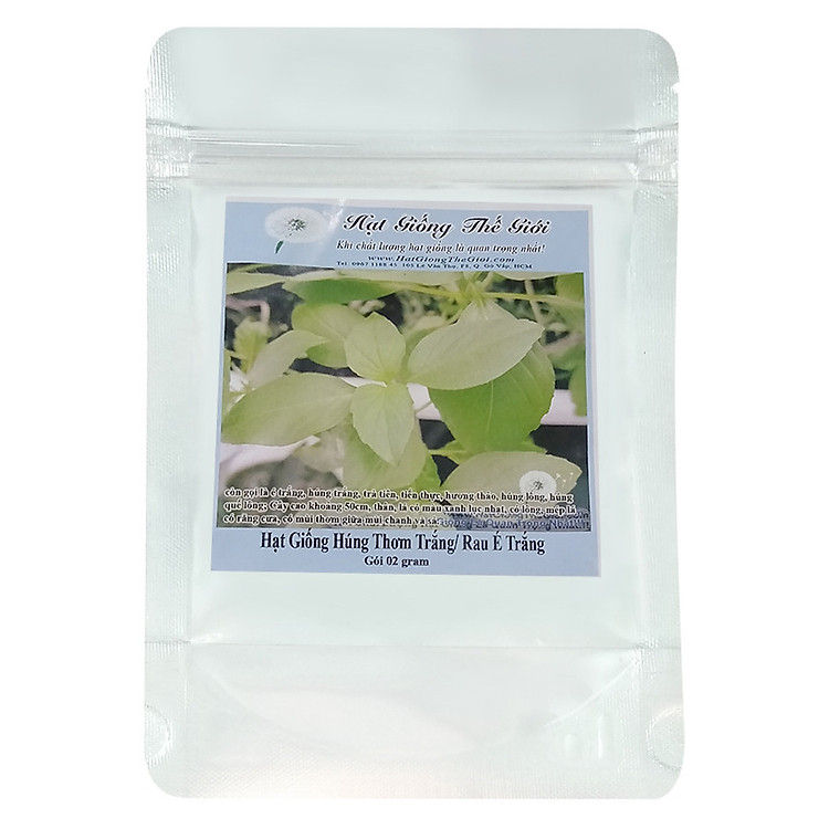 Hạt Giống Húng Thơm Trắng/ Rau É Trắng/ Rau Thơm Sả (2g)
