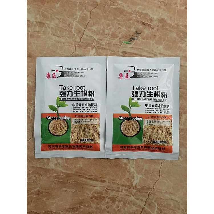 Take Root siêu kích rễ ra mầm