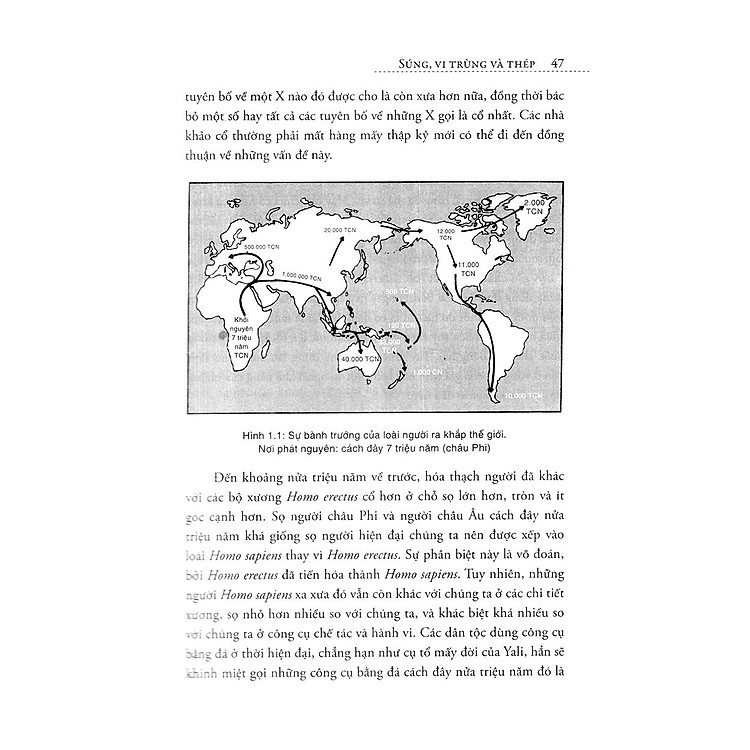 Súng, Vi Trùng Và Thép (Tái Bản) - Ảnh 4