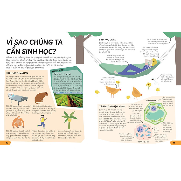 Biết Để Làm Gì? - Khoa Học Để Làm Gì? - Ảnh 5