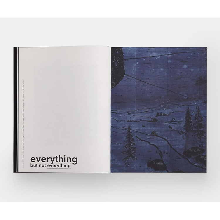 Artbook - Sách Tiếng Anh - Michael Raedecker - Ảnh 2