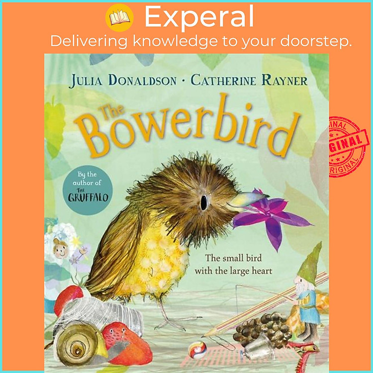 Sách - The Bowerbird by Catherine Rayner (UK edition, hardcover)