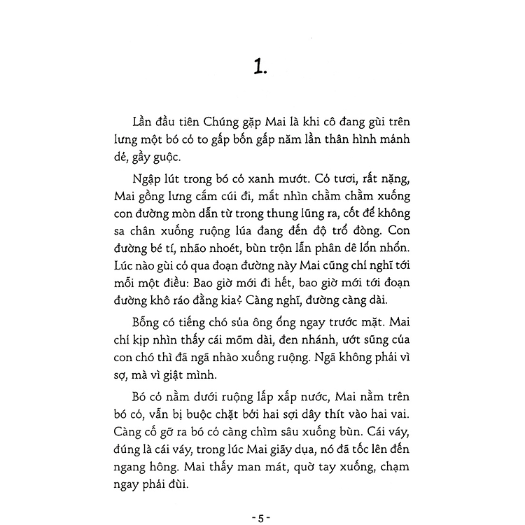 Cánh Chim Kiêu Hãnh - Ảnh 2