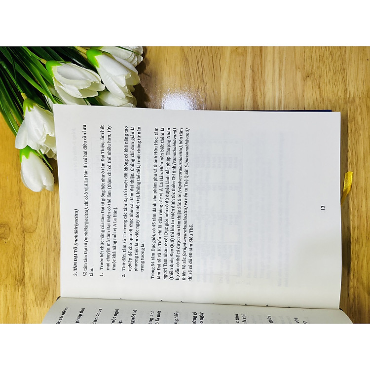 Giáo Lý A Tỳ Đàm Tập 1 - Ảnh 7