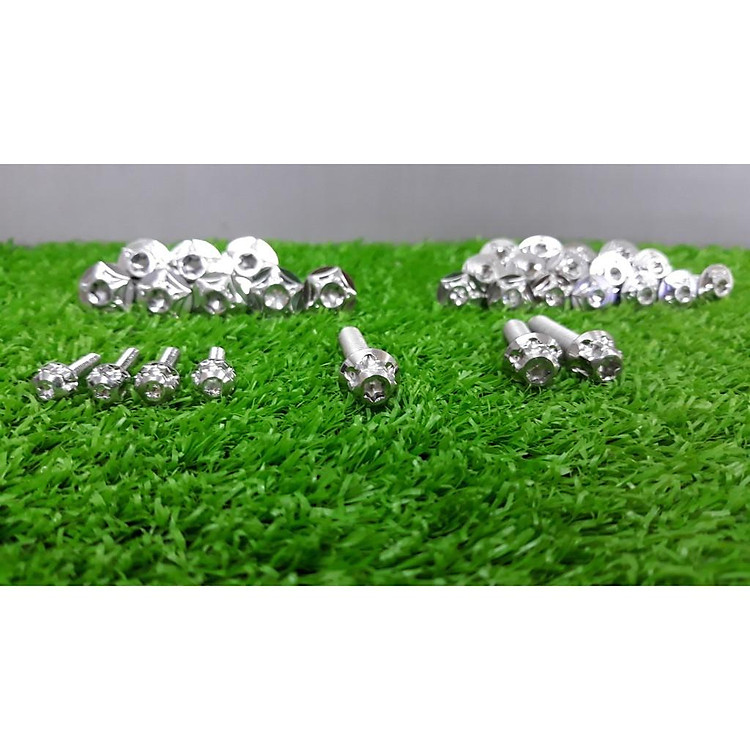 Combo ốc áo Winner (33 con) dành cho Winner V1 và Winner V2 full hết dàn áo