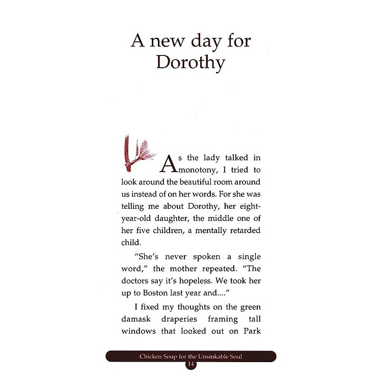 Chicken Soup For The Unsinkable Soul 5 Dành Cho Những Tâm Hồn Không Bao Giờ Gục Ngã - Ảnh 5