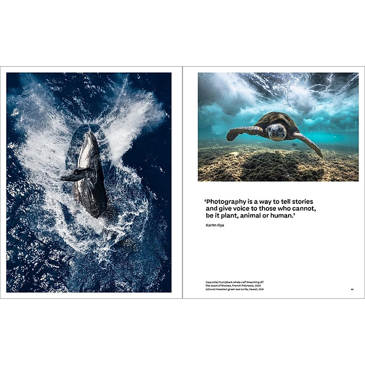 Why We Photograph Animals - Ảnh 7