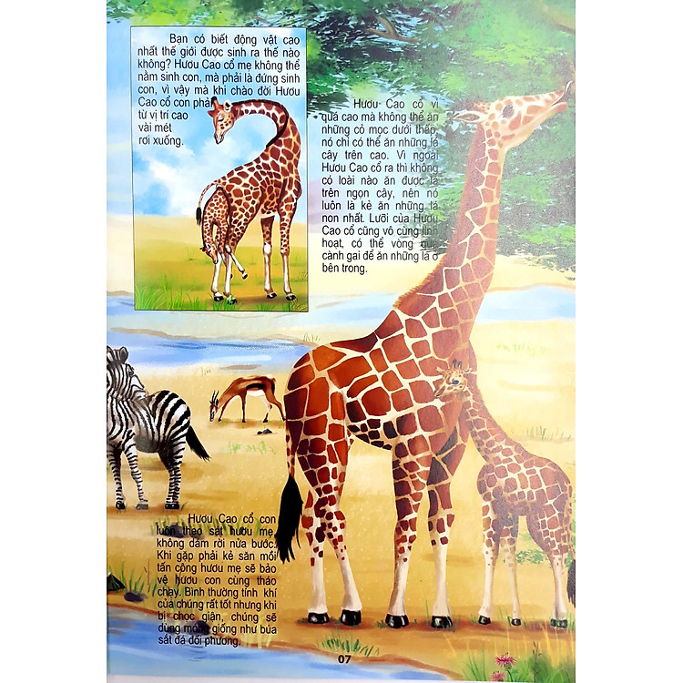 Thế Giới Động Vật Kì Thú - Động Vật Có Vú - Ảnh 5