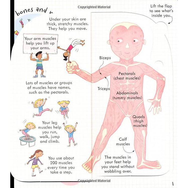 Usborne Look Inside Your Body - Ảnh 5