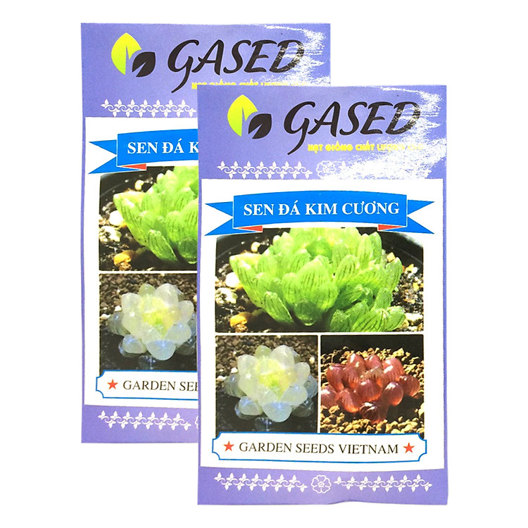 Bộ Hạt Giống Sen Đá Kim Cương Hoa Đẹp Dễ Trồng