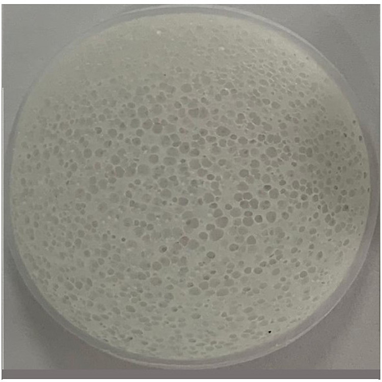 Giá Thể Vi Sinh Biochip (1bịch - 1kg)