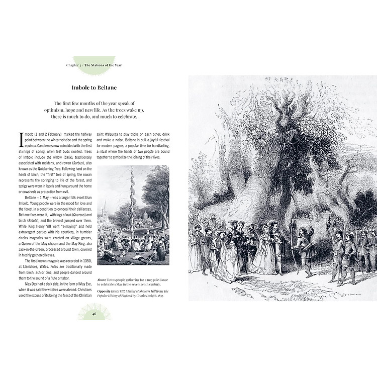 Kew - Witch's Forest - Ảnh 2