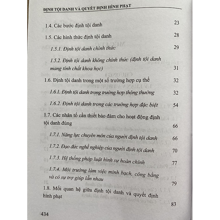 Định Tội Danh và Quyết Định Hình Phạt - Ảnh 3