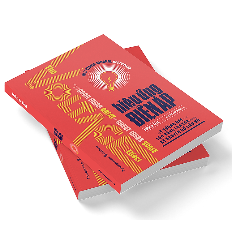 HIỆU ỨNG ĐIỆN ÁP - Từ Ý Tưởng Hay Đến Tác Động Lan Tỏa Trong Kỷ Nguyên Dữ Liệu Số - Ảnh 3