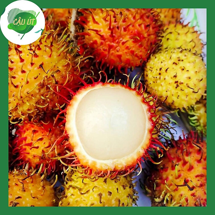 Chôm Chôm Nhãn Tươi Giòn Ngon 1kg - 38k/kg