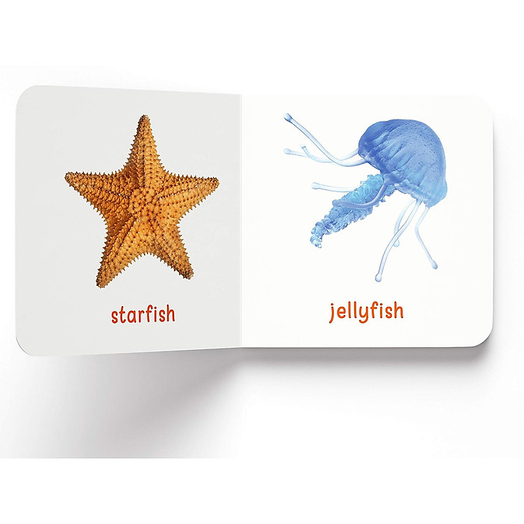 My First Library: Boxset of 10 Board Books for Kids - Ảnh 7