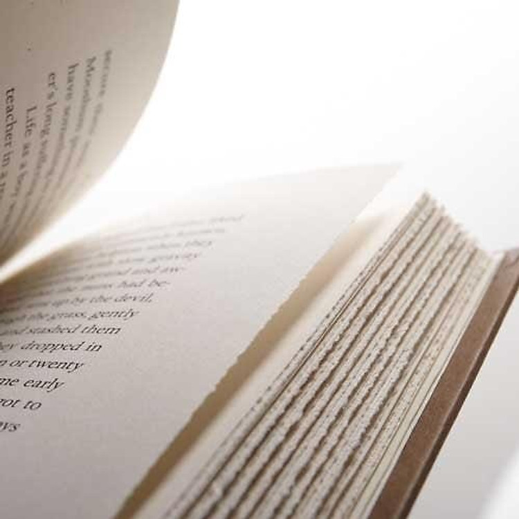 Lean In: Women, Work, and the Will to Lead - Ảnh 2