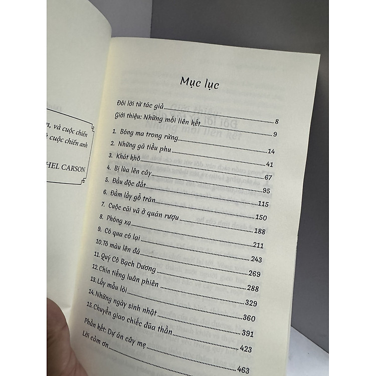 TRÍ TUỆ CỦA RỪNG - Khám Phá Trí Thông Minh Và Ngôn Ngữ Của Loài Cây - Ảnh 2