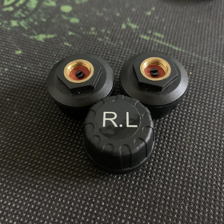 Đầu Van Cảm Biến Áp Suất Lốp TPMS Van Ngoài - Sau Trái (R.L)