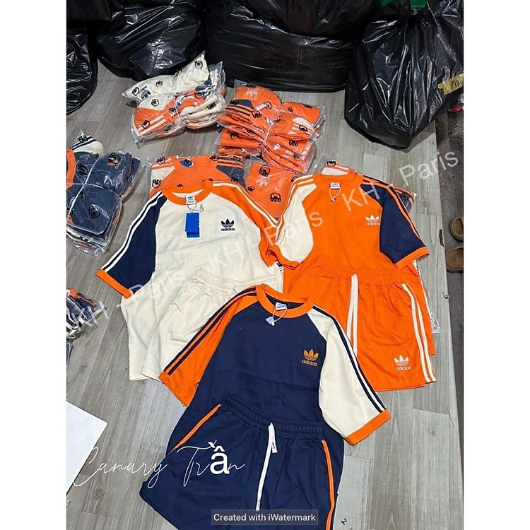 Rập Giấy A0 (màu in)