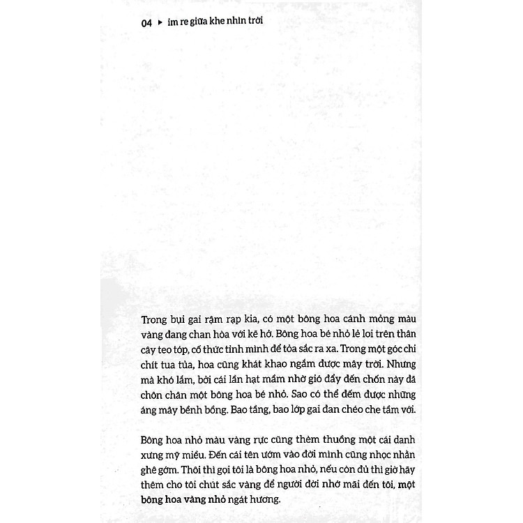 Im Re Giữa Khe Nhìn Đời - Ảnh 6