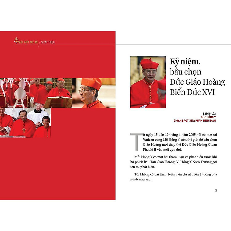 Đức Giáo Hoàng Biển Đức XVI - Rất Khiêm Nhu Rất Vĩ Đại - Ảnh 2