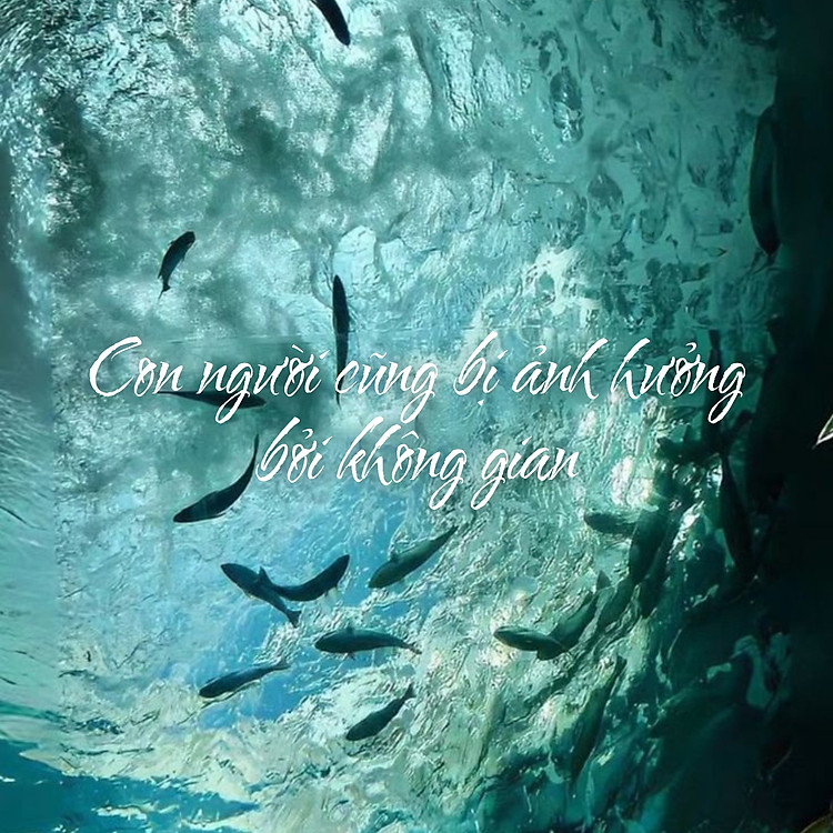 Quản Lý Cảm Xúc, Hạnh Phúc Một Đời - Ảnh 6