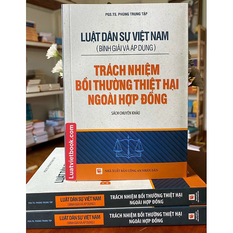 Luật Dân sự Việt Nam (Bình giải và áp dụng) - Ảnh 6