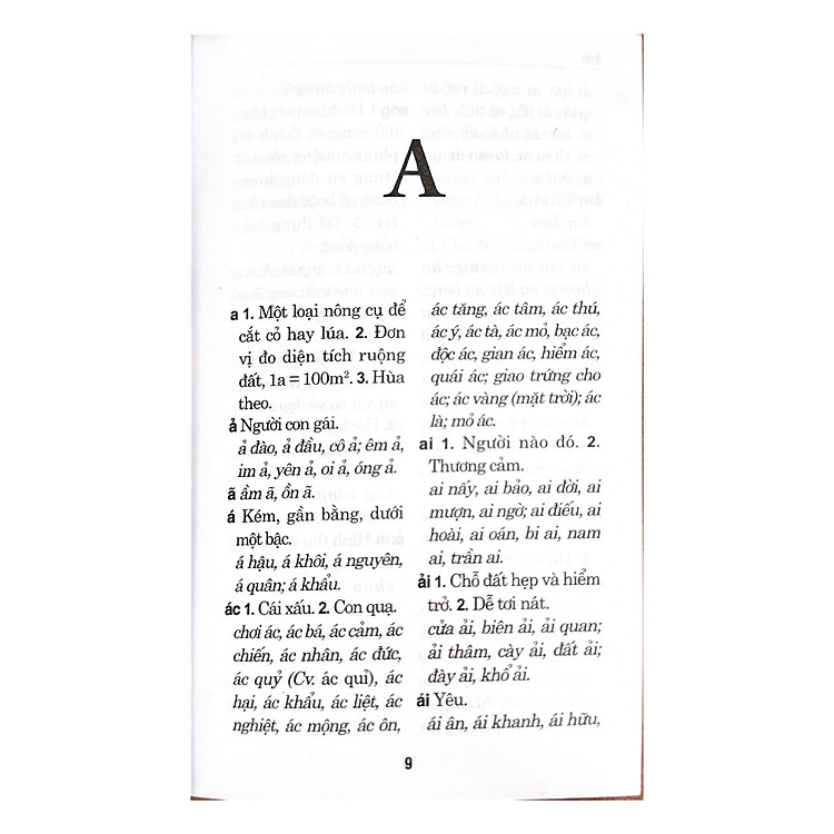 Từ Điển Chính Tả Tiếng Việt - Ảnh 5