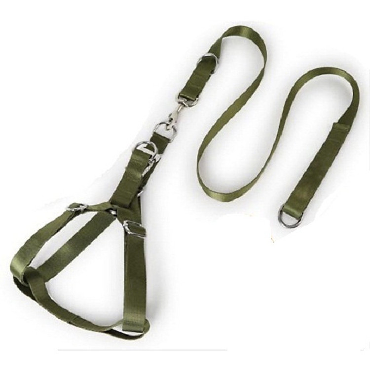 DÂY DẮT kèm YẾM DÀNH CHO CHÓ LỚN >20KG - GIAO MÀU NGẪU NHIÊN