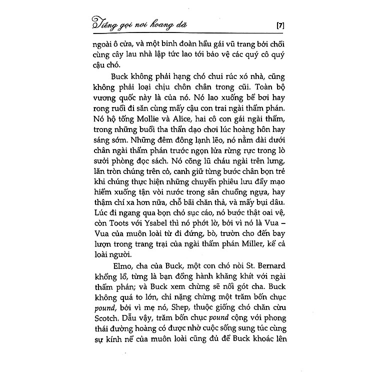 Tiếng Gọi Nơi Hoang Dã (Tái Bản 2023) - Ảnh 4