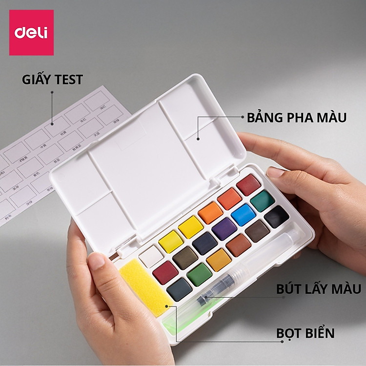 Màu Nước Dạng Nén Dmast Solid Water Color (12 màu) - Ảnh 3