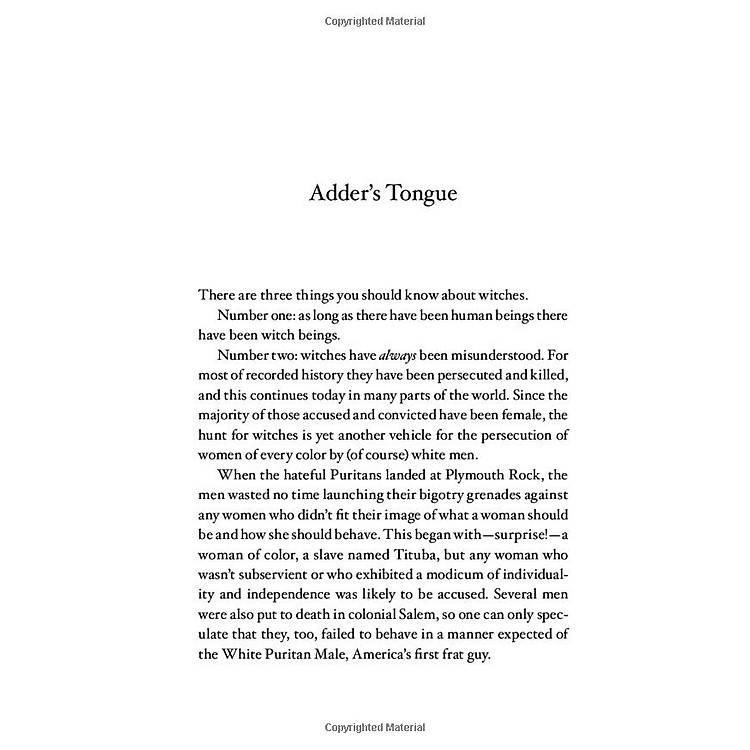 Toil & Trouble: A Memoir - Ảnh 3