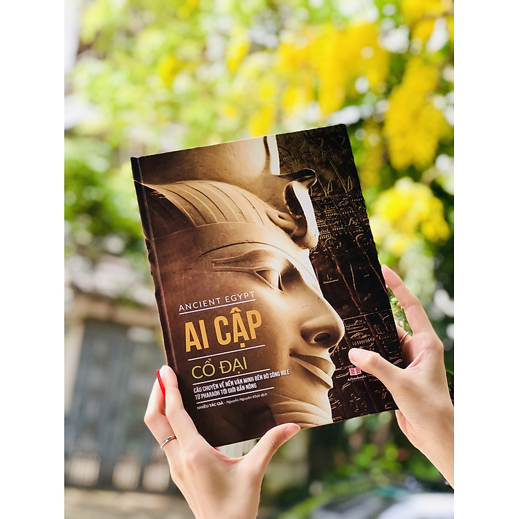 Ancient Egypt – Tổng Hợp Kiến Thức Bách Khoa Lịch Sử Về Nền Văn Minh Ai Cập - Ảnh 7