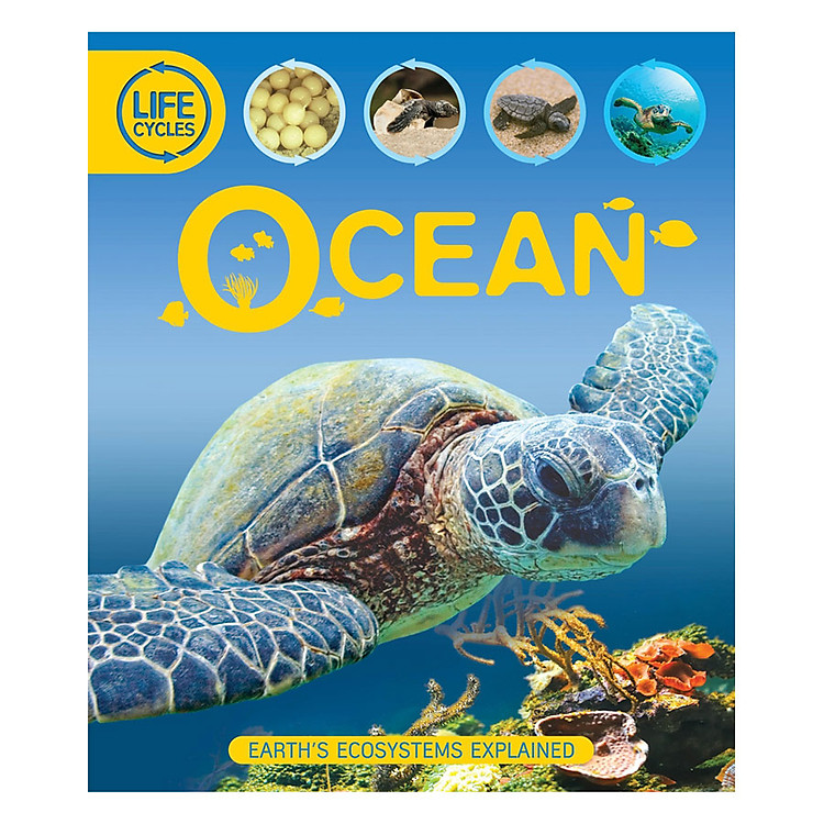 Sách Life Cycles: Ocean
