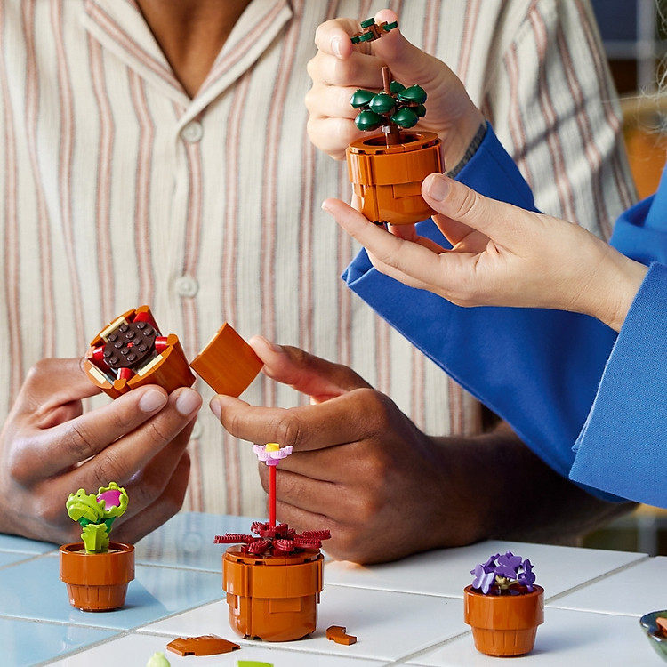 Mua Đồ Chơi Lắp Ráp LEGO Hoa Xương Rồng Chính hãng Giá tốt - Hình ảnh 4