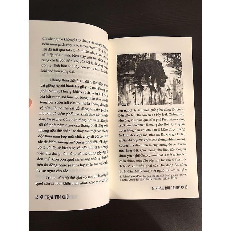 Trái Tim Chó + Kỳ Lạ Thế Đấy Cuộc Đời Này - Ảnh 4