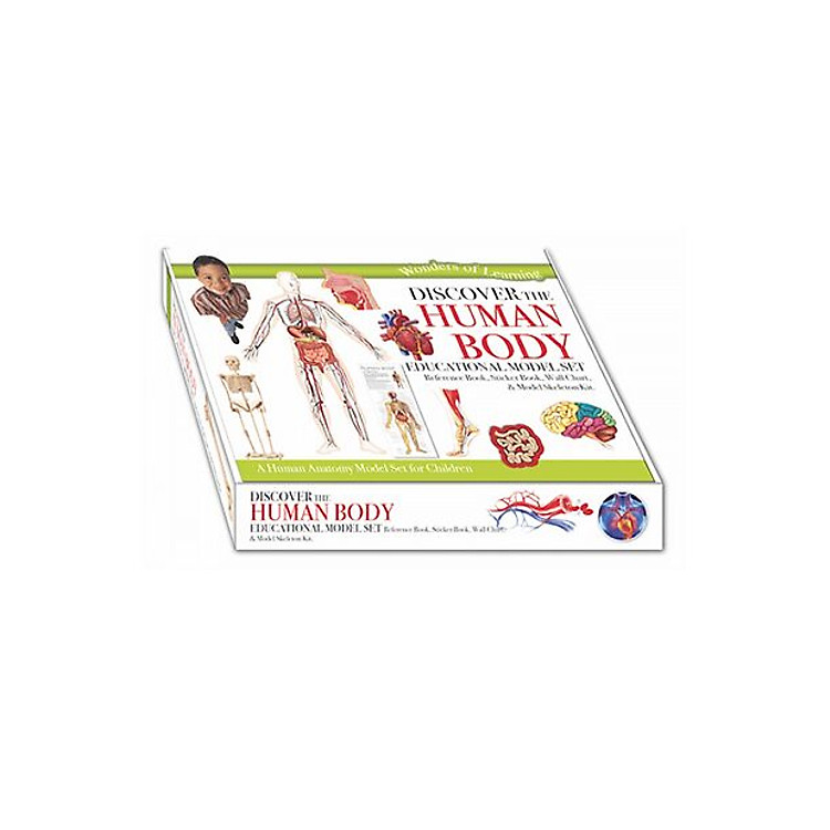 Wol Model Set - Human Body - Ảnh 5