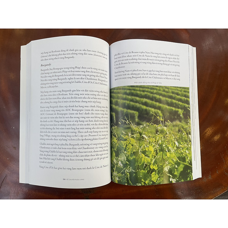 KỂ CHUYỆN RƯỢU VANG - Ảnh 4