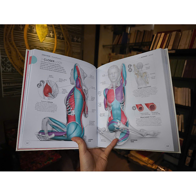 Science Of Yoga - Ảnh 6