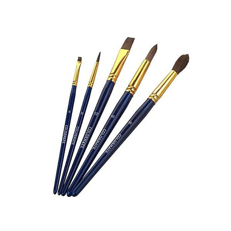 Bộ Cọ Vẽ Colormate MS-05BRS (5 cây)