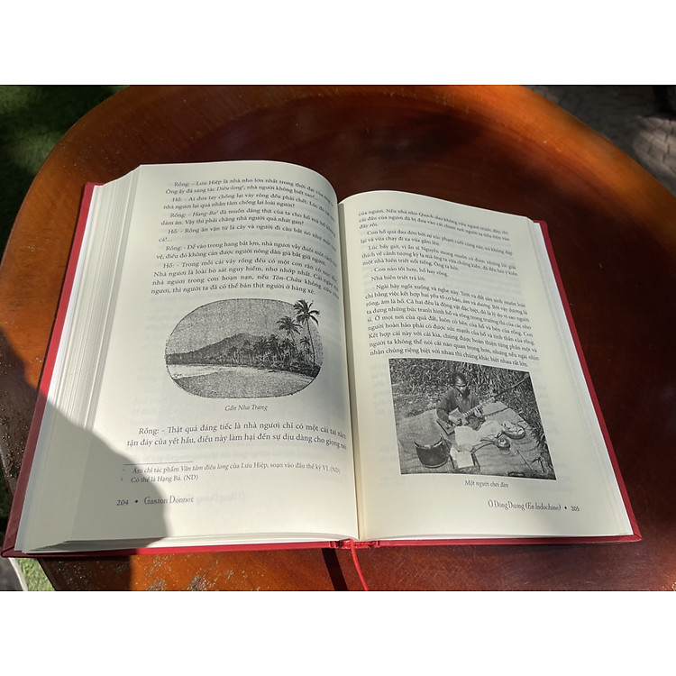 Ở ĐÔNG DƯƠNG (EN INDOCHINE) - Ảnh 2