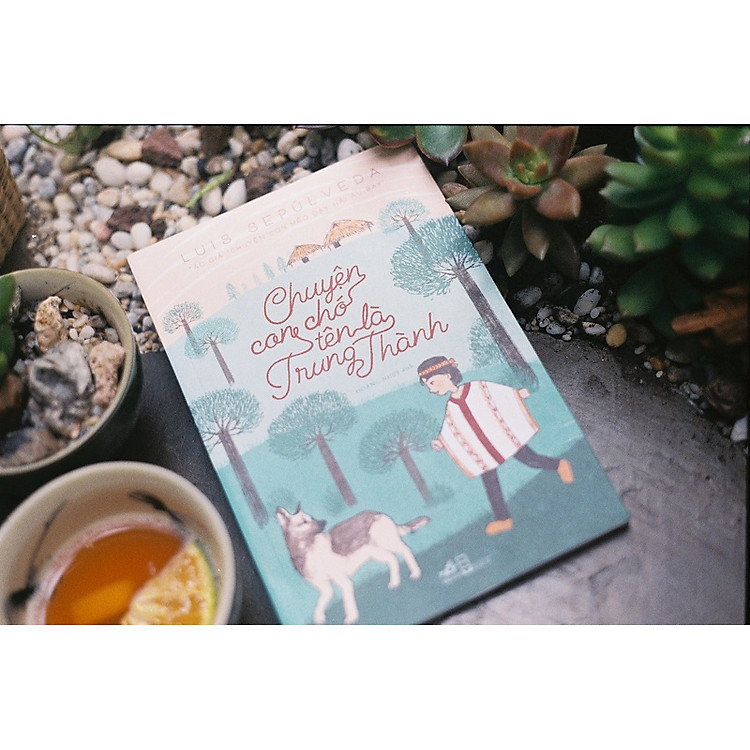 Chuyện Con Chó Tên Là Trung Thành - Ảnh 2